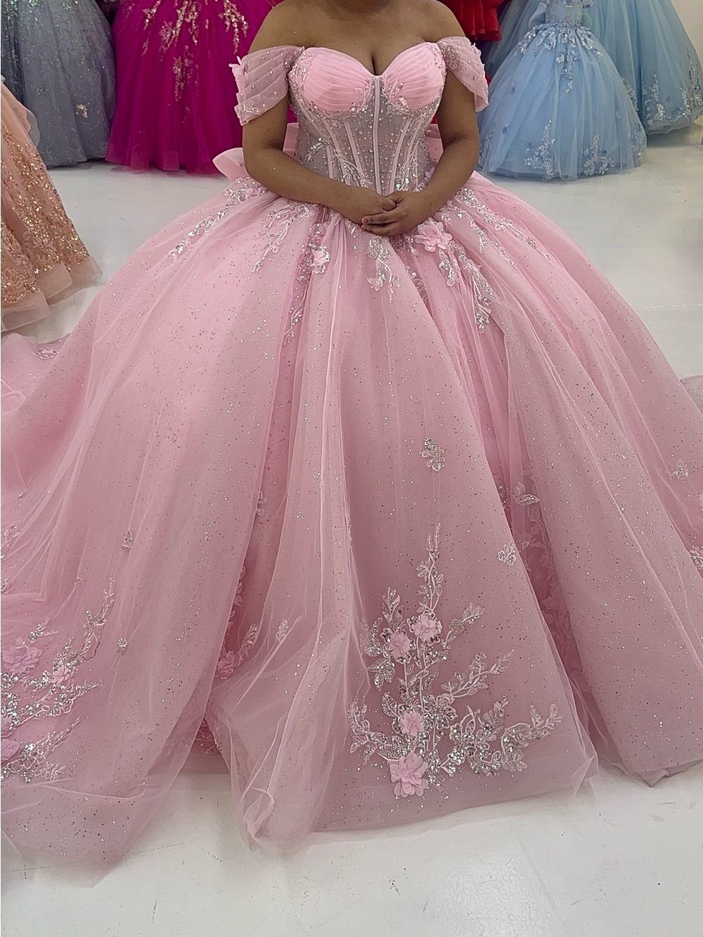 Sweet 16 /Quinceañera Dress